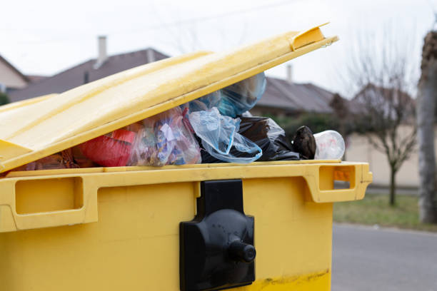 Best Hoarding Cleanup  in Mims, FL